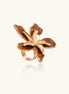 Gold-plated brass ring with 5 curved petals forming a dimensional flower design on white background.